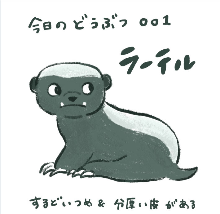 今日のどうぶつ