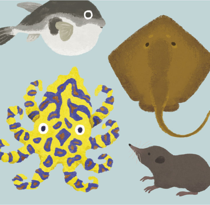 毒の生き物