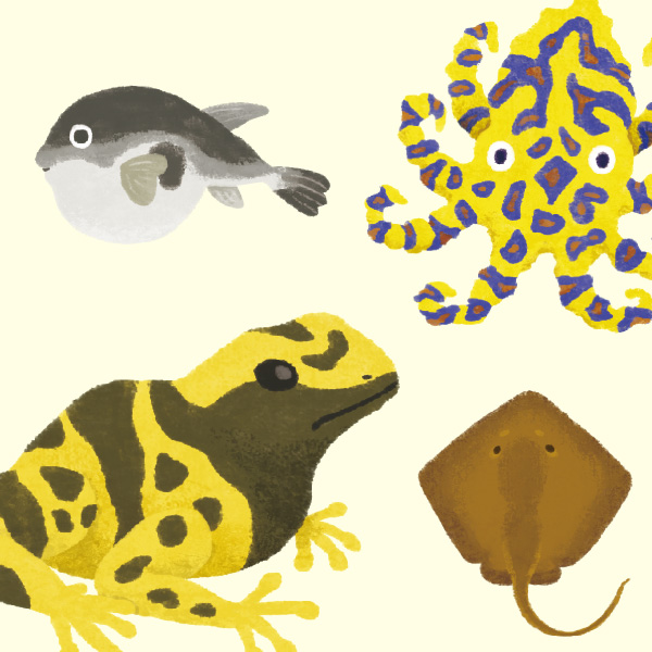 毒の生き物