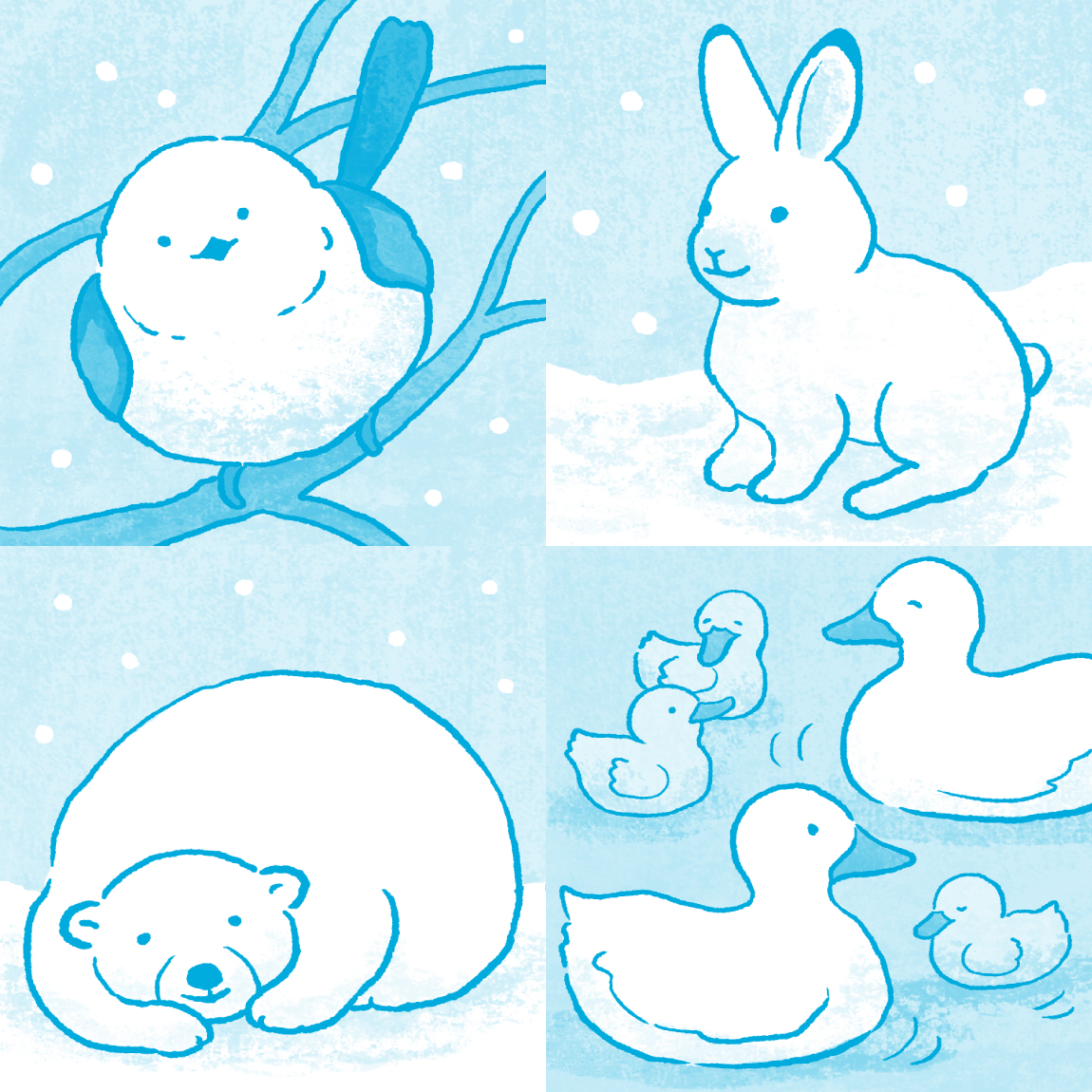 レディーススケルトンSP2月号